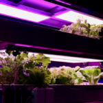 Saudi Arabia Livestock Grow Lights Market