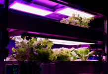 Saudi Arabia Livestock Grow Lights Market Size Expands to Cross USD 420.2 Million by 2029 Saudi Arabia Livestock Grow Lights Market