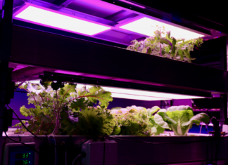 Saudi Arabia Livestock Grow Lights Market