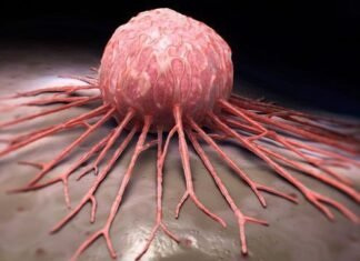 Saudi Arabia Solid Tumor Testing Market