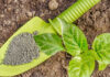 Vietnam Bionematicides Market