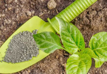 Vietnam Bionematicides Market Size Booming at Robust CAGR of 16% During the Forecast Period Vietnam Bionematicides Market