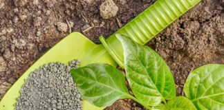 Vietnam Bionematicides Market Size Booming at Robust CAGR of 16% During the Forecast Period Vietnam Bionematicides Market