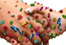 Infection Surveillance Solutions Market Size More Than Doubles to Touch USD 1.2 Billion by 2029 Infection surveillance solutions market