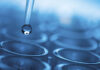 Saudi Arabia Silicone Additives Market