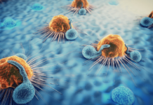 Primary Cells Market Size Doubles to Reach USD 8.6 Billion by 2029 Primary Cells Market