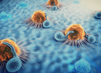 Primary Cells Market Size Doubles to Reach USD 8.6 Billion by 2029 Primary Cells Market