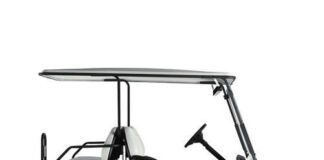 Asia-Pacific Golf Cart Market Size Expanding to Reach USD 160 Million by 2029 Asia-Pacific Golf Cart Market