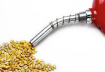 India Ethanol Market Size Booming at Significant CAGR of 9.2% to Reach USD 4.2 Billion by 2029 India Ethanol Market