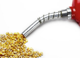India Ethanol Market Size Booming at Significant CAGR of 9.2% to Reach USD 4.2 Billion by 2029 India Ethanol Market