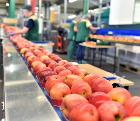UAE Fruits and Vegetables Processing Market Set to Expand at High CAGR of ~10% During 2023–2029 UAE Fruits and Vegetables Processing Market