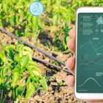 Smart Irrigation market