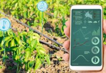 North America Smart Irrigation Market Size More Than Double at Robust CAGR of 14.71% to Reach USD 556 Million by 2029 Smart Irrigation market