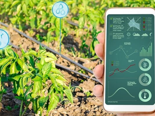 North America Smart Irrigation Market Size More Than Double at Robust CAGR of 14.71% to Reach USD 556 Million by 2029 Smart Irrigation market