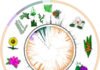 India Plant Genomics Market Size Set to Expand at CAGR 7% During 2023–2029 India Plant Genomics Market