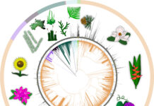 India Plant Genomics Market Size Set to Expand at CAGR 7% During 2023–2029 India Plant Genomics Market