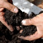 United Kingdom Soil Treatment Market Size Booming to Cross USD 1.8 Billion by 2029