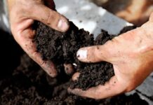 United Kingdom Soil Treatment Market Size Booming to Cross USD 1.8 Billion by 2029