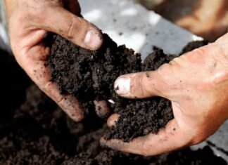 United Kingdom Soil Treatment Market Size Booming to Cross USD 1.8 Billion by 2029