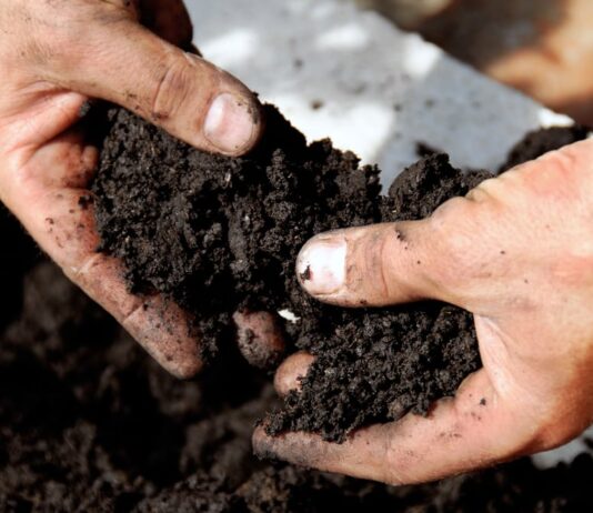 United Kingdom Soil Treatment Market Size Booming to Cross USD 1.8 Billion by 2029