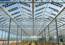 Global Solar Greenhouse Market Size Booming to Cross USD 12.2 Billion by 2029 Solar Greenhouse Market