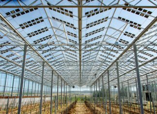 Global Solar Greenhouse Market Size Booming to Cross USD 12.2 Billion by 2029 Solar Greenhouse Market