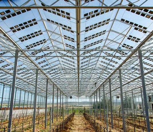 Global Solar Greenhouse Market Size Booming to Cross USD 12.2 Billion by 2029 Solar Greenhouse Market