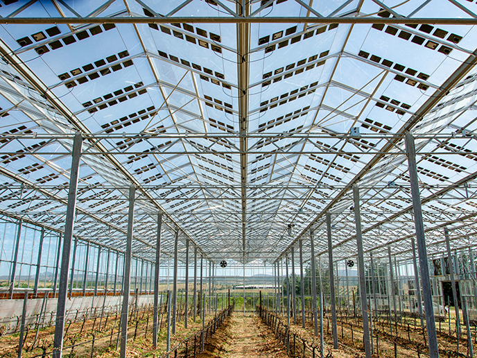 Solar Greenhouse Market