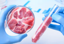 India Lab-Grown Meat Market Set to Reach USD 39 Million by 2029 India Lab-Grown Meat Market