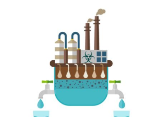 United States Water Purifiers Market Industry Trends & Forecast Report, 2029 United States Water Purifiers Market