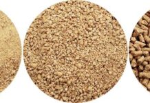 United States Compound Feed Market Size Set to Reach USD 125 Billion by 2029 United States Compound Feed Market