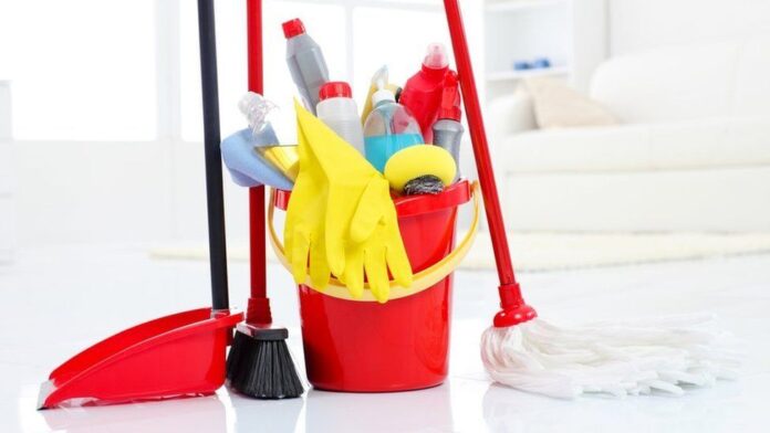 India Household Cleaning Market