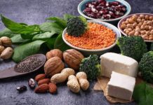 Vietnam Plant-based Protein Market grow at a robust CAGR of 25.4% Vietnam Plant-based Protein Market