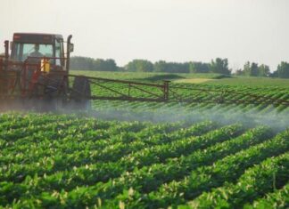Asia Pacific Agriculture Adjuvants Market Size Grow at Steady CAGR of 6.43% Asia Pacific Agriculture Adjuvants Market