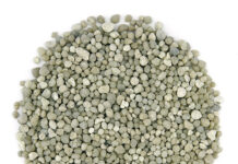 Diammonium Phosphate (DAP) Market Size Set Grows at Steady CAGR of 4.09% Diammonium Phosphate (DAP) Market