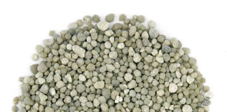 Diammonium Phosphate (DAP) Market Size Set Grows at Steady CAGR of 4.09% Diammonium Phosphate (DAP) Market