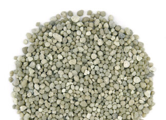 Diammonium Phosphate (DAP) Market Size Set Grows at Steady CAGR of 4.09% Diammonium Phosphate (DAP) Market