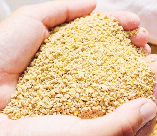 Fermented Feed Ingredients Market Size Set to Grow at Steady CAGR of 4.8% Fermented Feed Ingredients Market