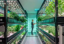 GCC Indoor Farming Market Size Set More Than Doubles at Robust CAGR of 13.1% GCC Indoor Farming Market