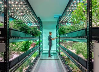 GCC Indoor Farming Market Size Set More Than Doubles at Robust CAGR of 13.1% GCC Indoor Farming Market