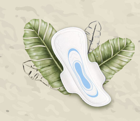 Global Biodegradable Sanitary Napkins Market Size Zooming 3.5X at Robust CAGR During 2023–2029 to Cross USD 59 Billion by 2029 Biodegradable Sanitary Napkins Market