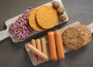 Europe Meat Substitute Market Size More Than Doubles at Robust CAGR of 13.09% Europe Meat Substitute Market