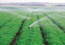 Saudi Arabia Micro Irrigation System Market Size Expands at Significant CAGR of 6.71% Saudi Arabia Micro Irrigation System Market