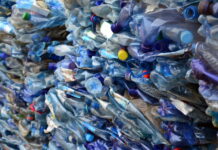 Global Recycled Polyethylene Terephthalate (RPET) Market Size Expands at Significant CAGR to Cross USD 16.5 Billion by 2029 Recycled Polyethylene Terephthalate