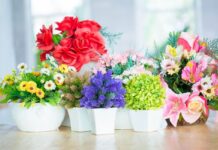 Artificial Plant and Flowers Market Size Expands at Significant CAGR of 5.39% Artificial Plant and Flowers Market