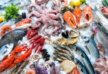 UAE Seafood Market Size Set to Grow at Healthy CAGR of 3.57% UAE Seafood Market