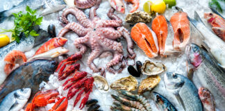UAE Seafood Market Size Set to Grow at Healthy CAGR of 3.57% UAE Seafood Market