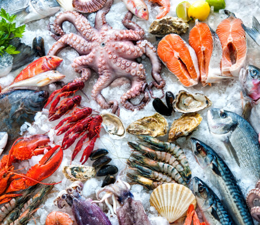UAE Seafood Market Size Set to Grow at Healthy CAGR of 3.57% UAE Seafood Market